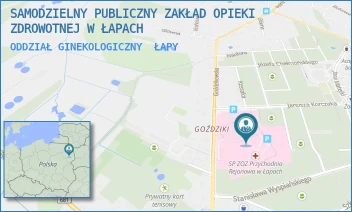 ODDZIAŁ GINEKOLOGICZNY - SAMODZIELNY PUBLICZNY ZAKŁAD OPIEKI ZDROWOTNEJ W ŁAPACH - KORCZAKA 23,  ŁAPY