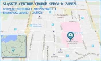 ODDZIAŁ CHIRURGII NACZYNIOWEJ I ENDOWASKULARNEJ - ŚLĄSKIE CENTRUM CHORÓB SERCA W ZABRZU - UL. MARII CURIE-SKŁODOWSKIEJ 9,  ZABRZE
