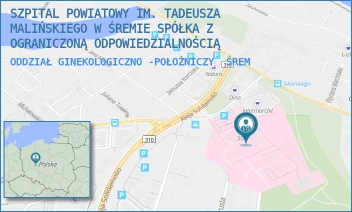 ODDZIAŁ GINEKOLOGICZNO -POŁOŻNICZY - SZPITAL POWIATOWY IM. TADEUSZA MALIŃSKIEGO W ŚREMIE SPÓŁKA Z OGRANICZONĄ ODPOWIEDZIALNOŚCIĄ - CHEŁMOŃSKIEGO 1,  ŚREM